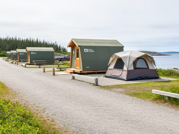 When to Reserve Camping at Terra Nova National Park: 2026 Booking Windows and Trail Access
